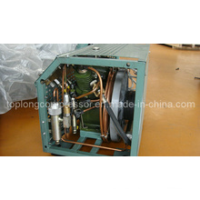 Compresor de alta presión del salto de la escafandra autónoma compresor de la pintura (BV-100)